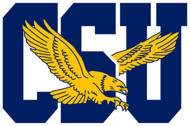 Coppin State Eagles 2017-Pres Primary Logo DIY iron on transfer (heat transfer)